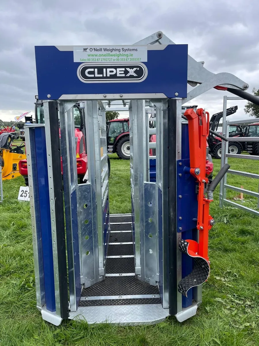 Livestock Weighing Scales - Image 3