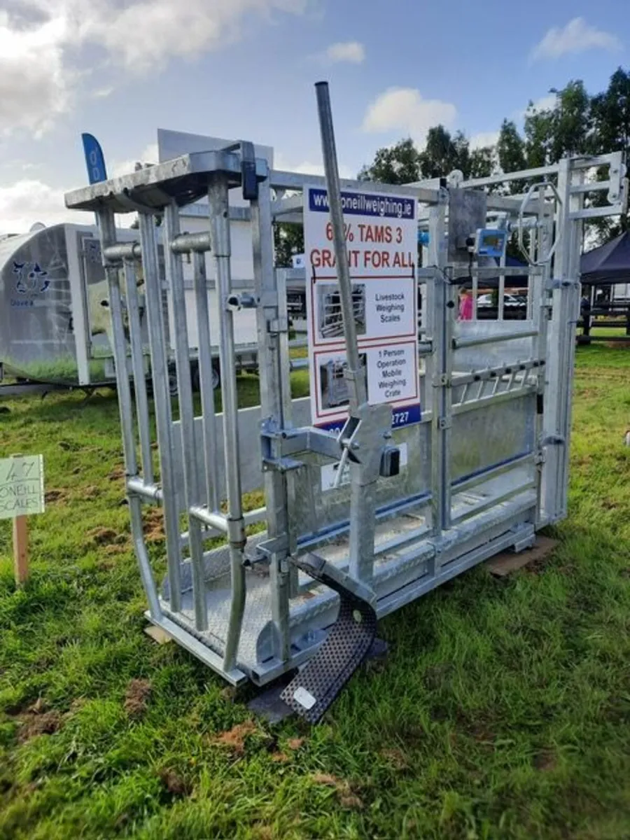 Livestock Weighing Scales - Image 4