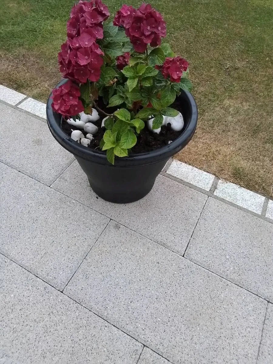Large planter