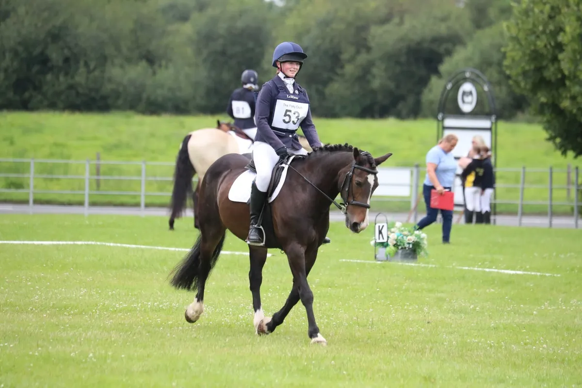 Pony - Image 4