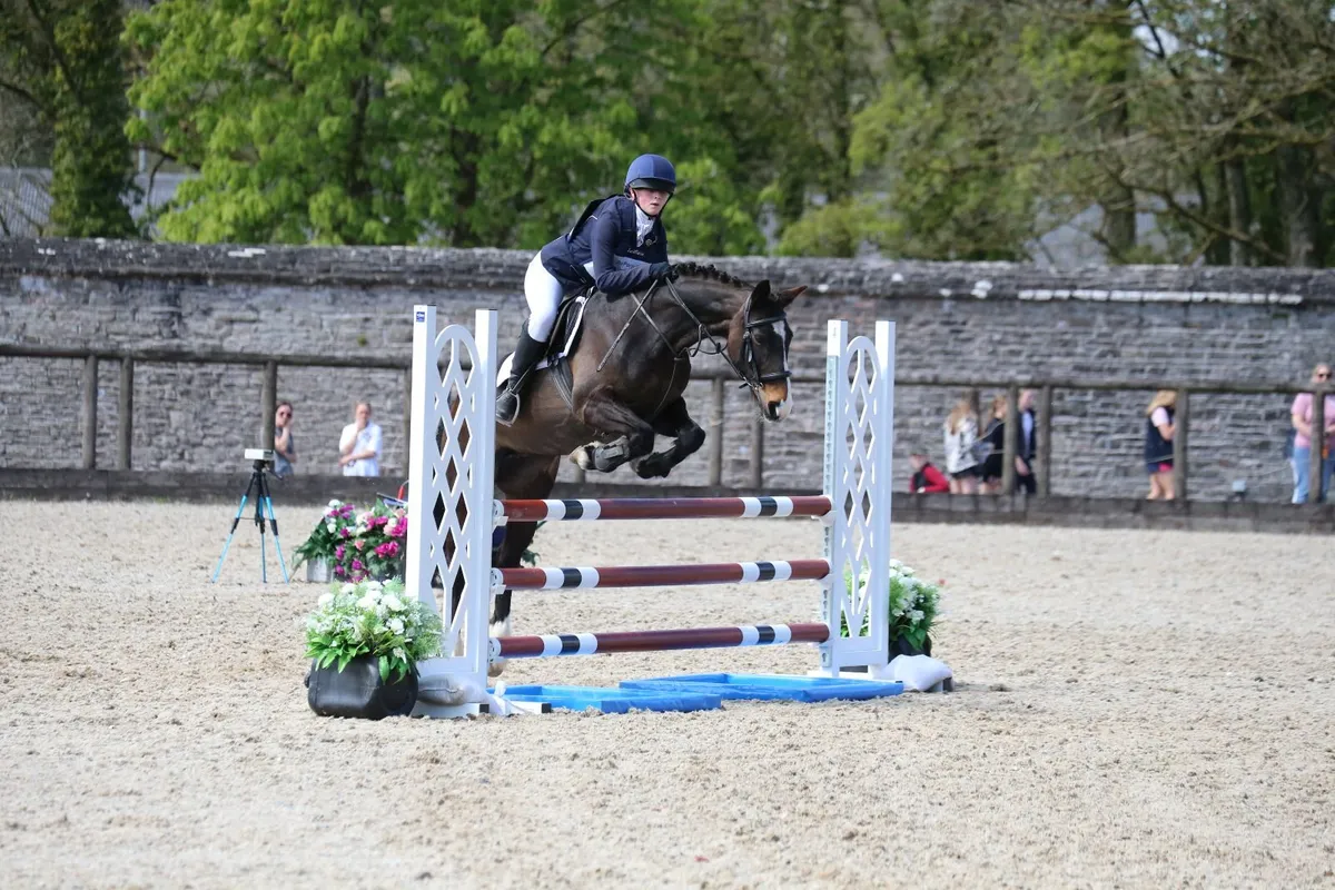 Pony - Image 2