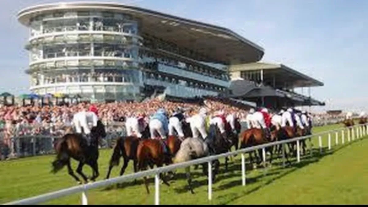 Accomodation for Race Week - Image 1