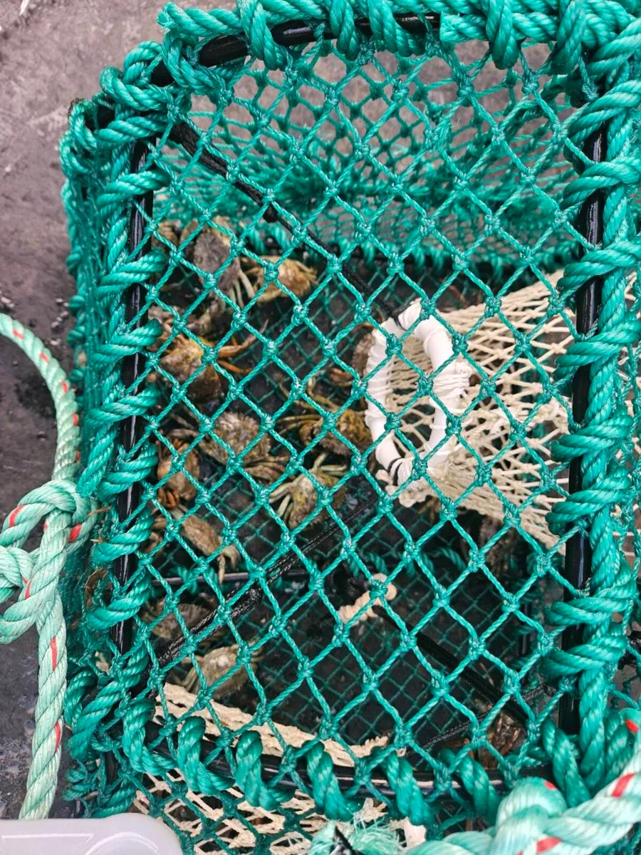 Prawn pots - Image 1