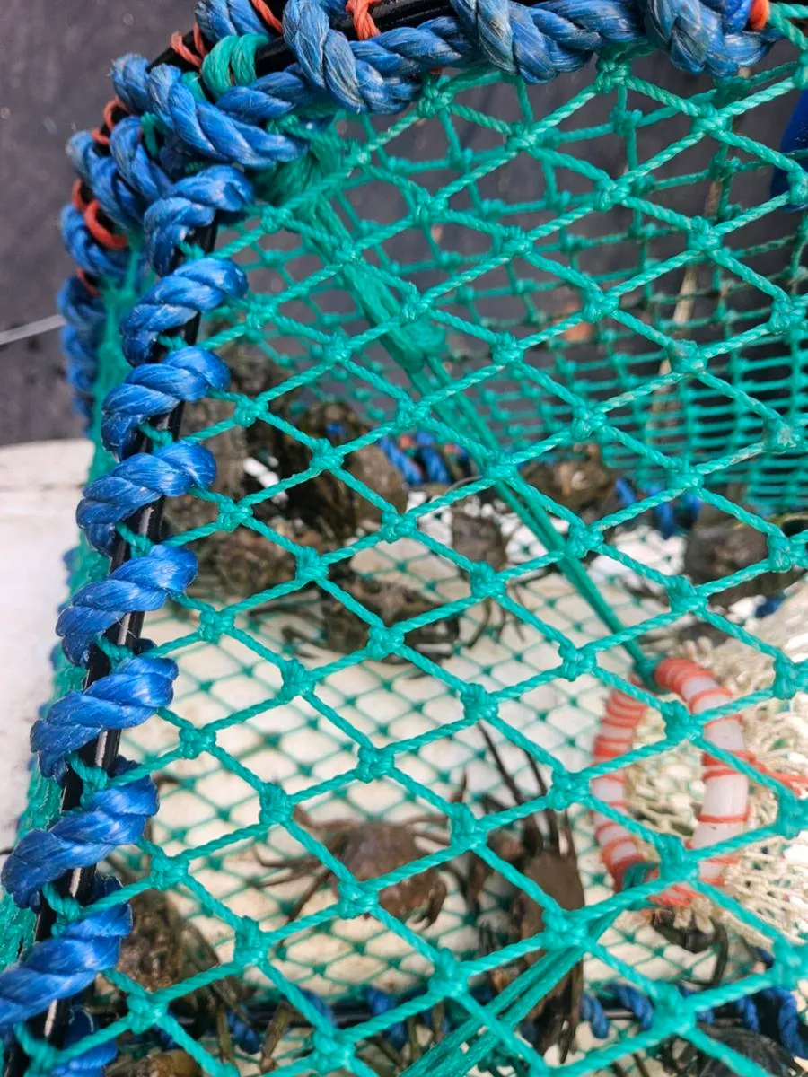 Prawn pots - Image 2
