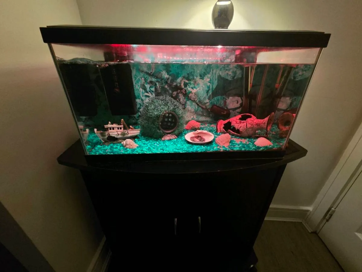 Fish tank with stand - Image 1