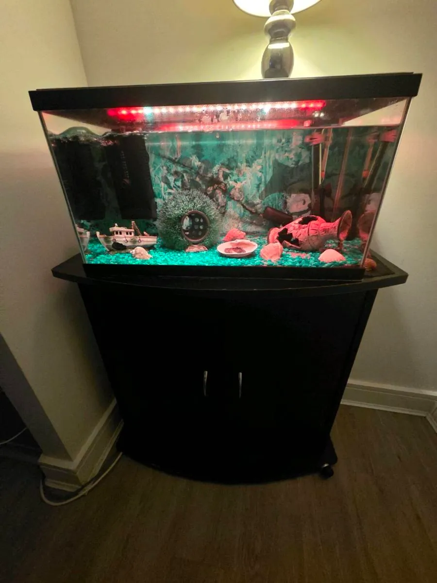 Fish tank with stand - Image 2