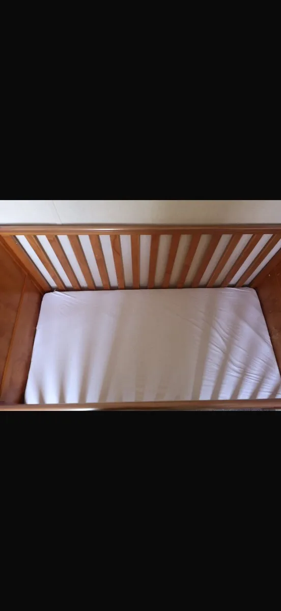Cot - Image 2