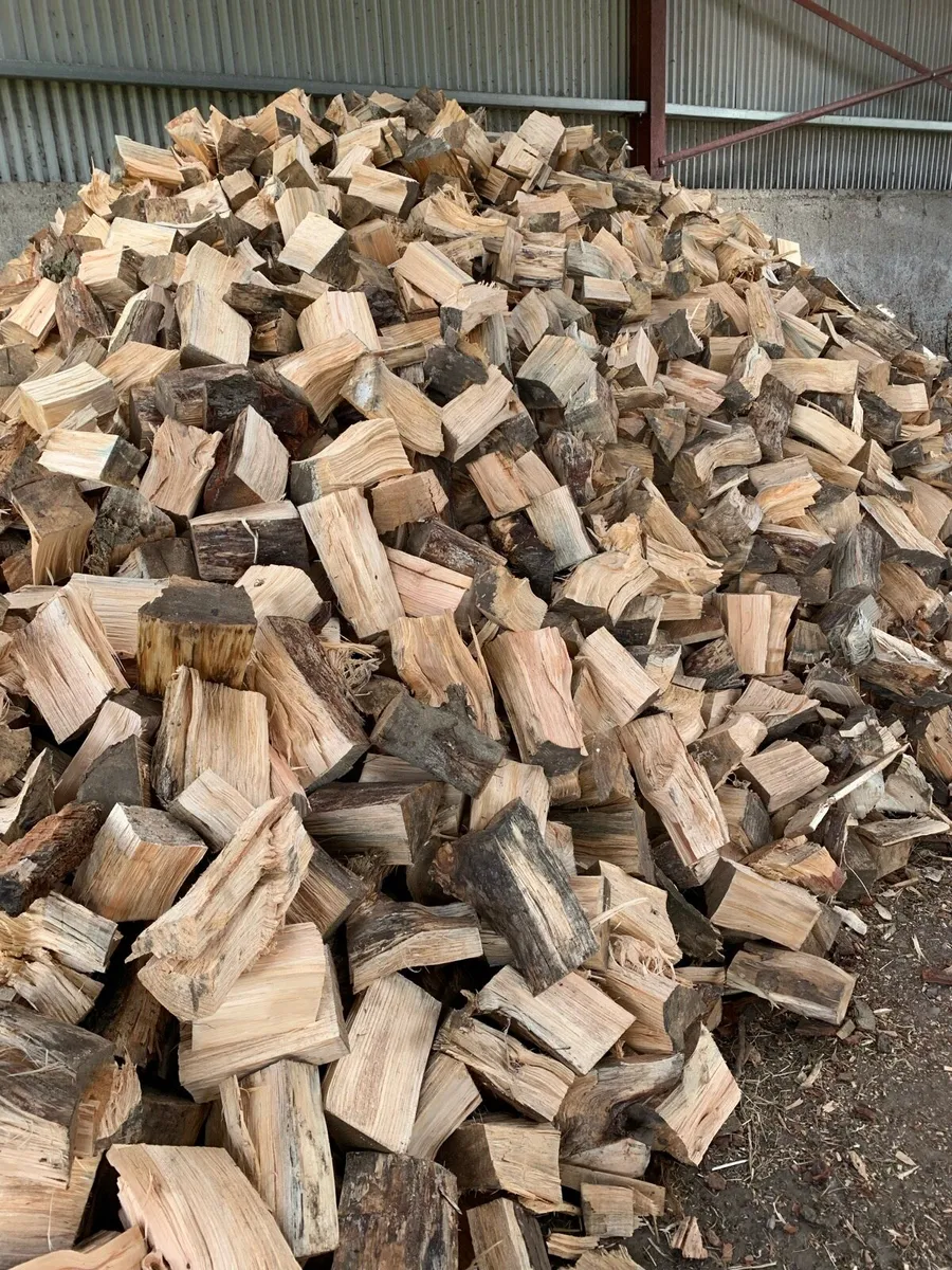 Firewood - Image 1