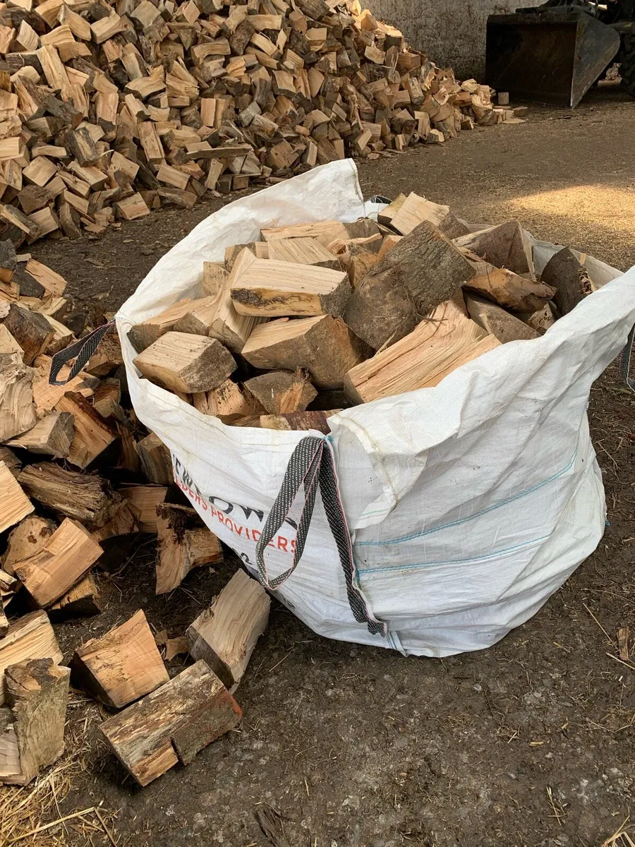Firewood - Image 2