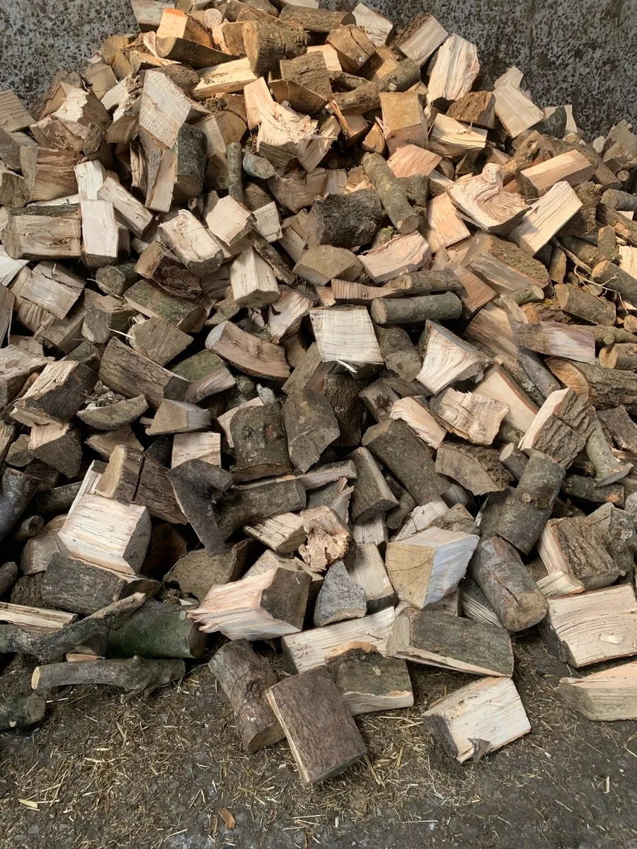 Firewood - Image 3