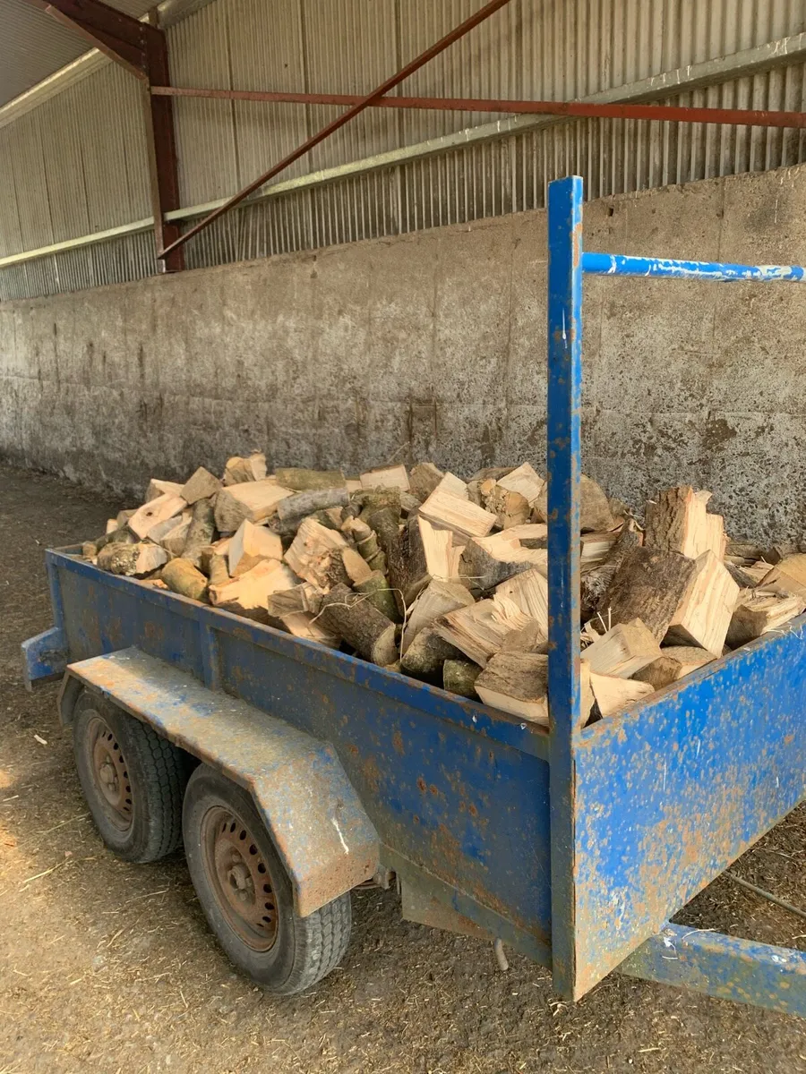 Firewood - Image 4