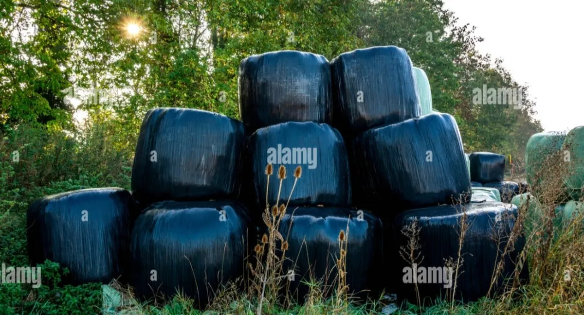 Bailed Silage