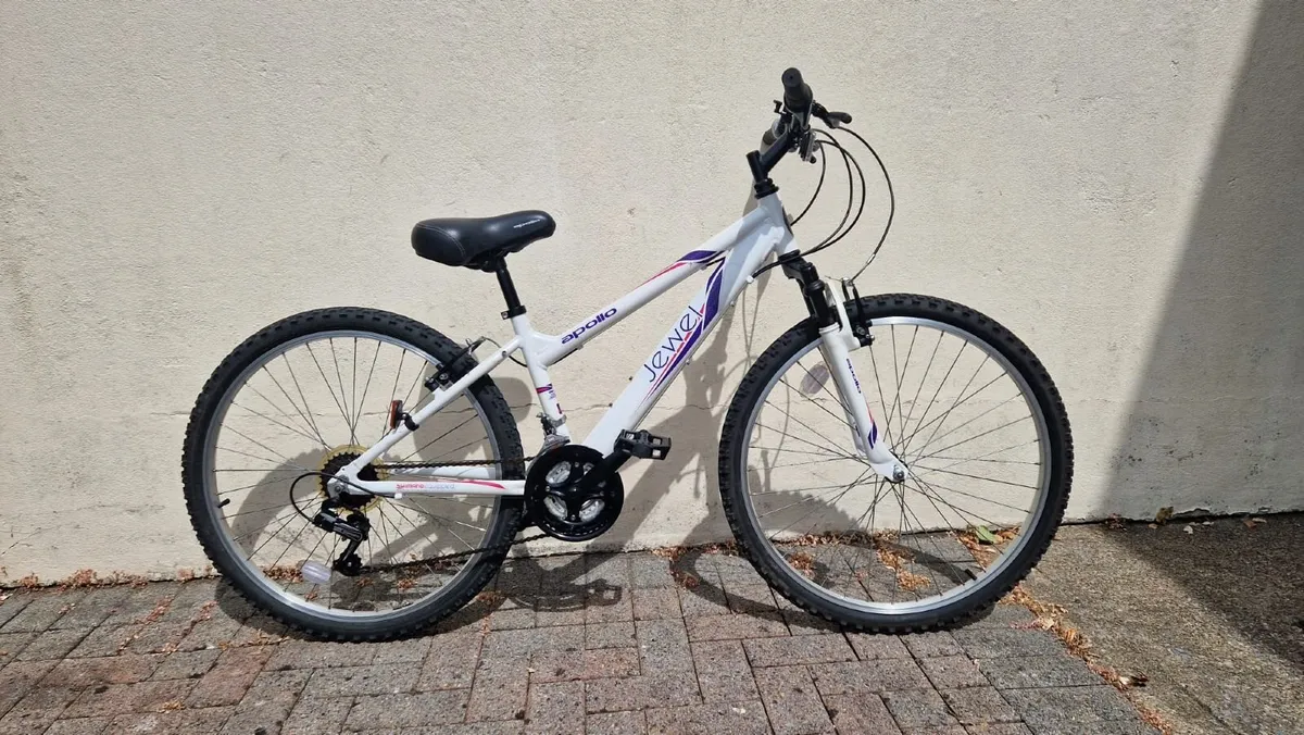 Girl's Mountain Bike