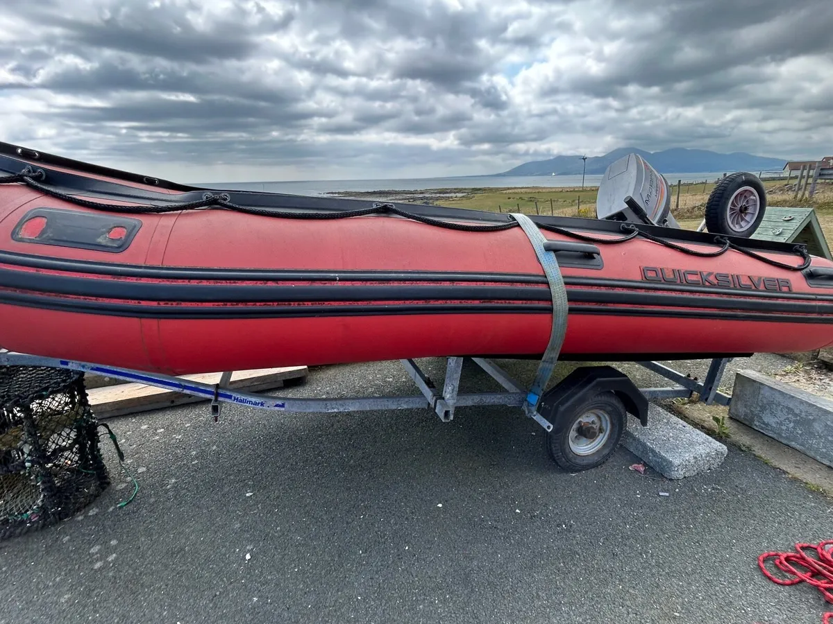 Quicksilver Rib - Image 4