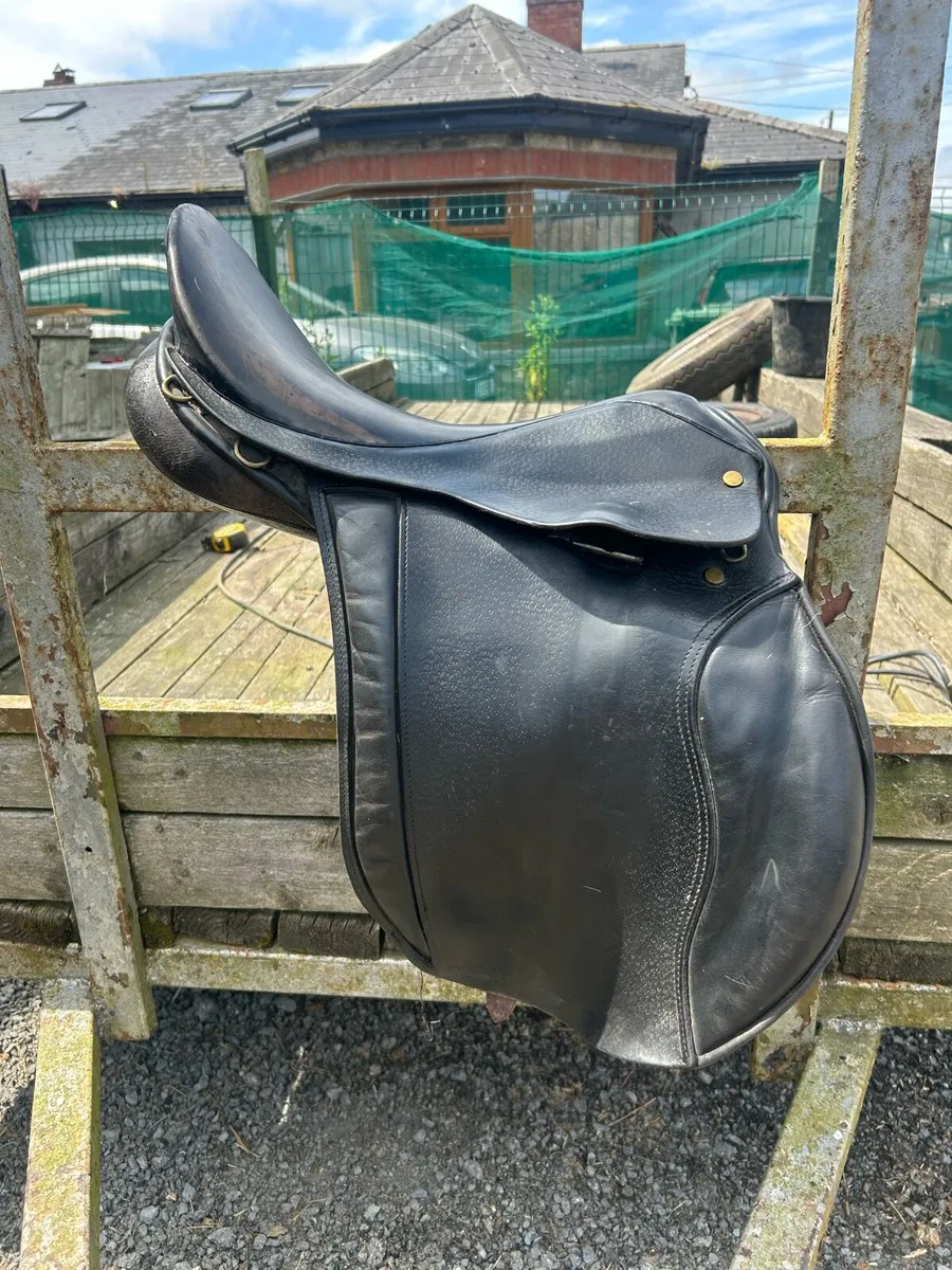 Showing Saddle - Image 1