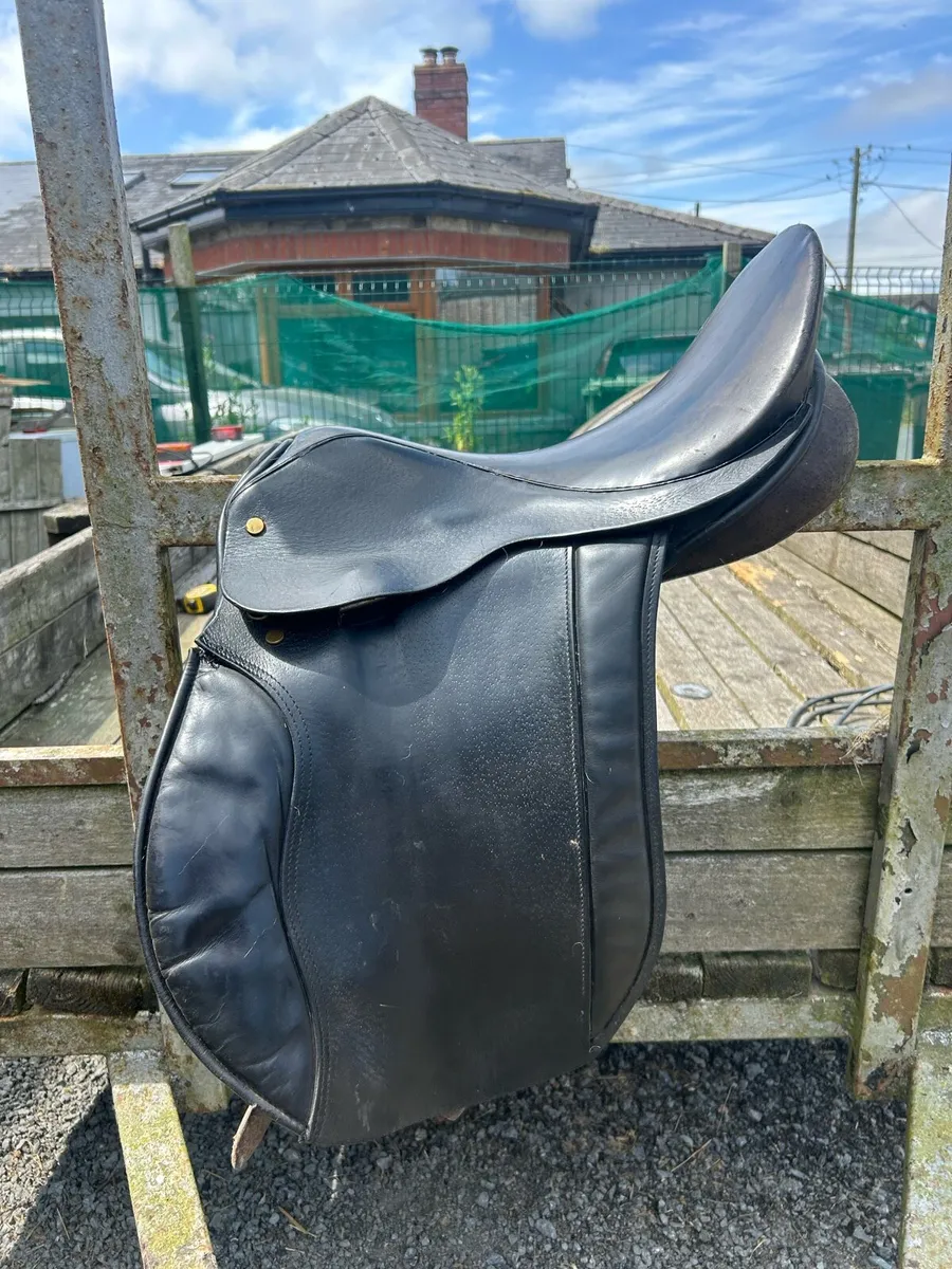 Showing Saddle - Image 2