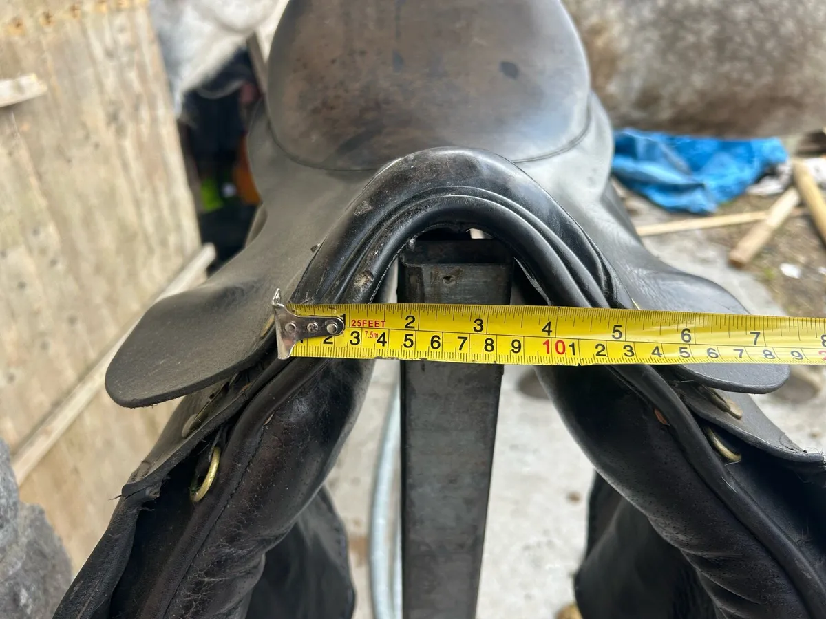 Showing Saddle - Image 3