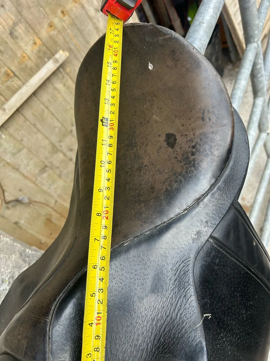 Showing Saddle - Image 4
