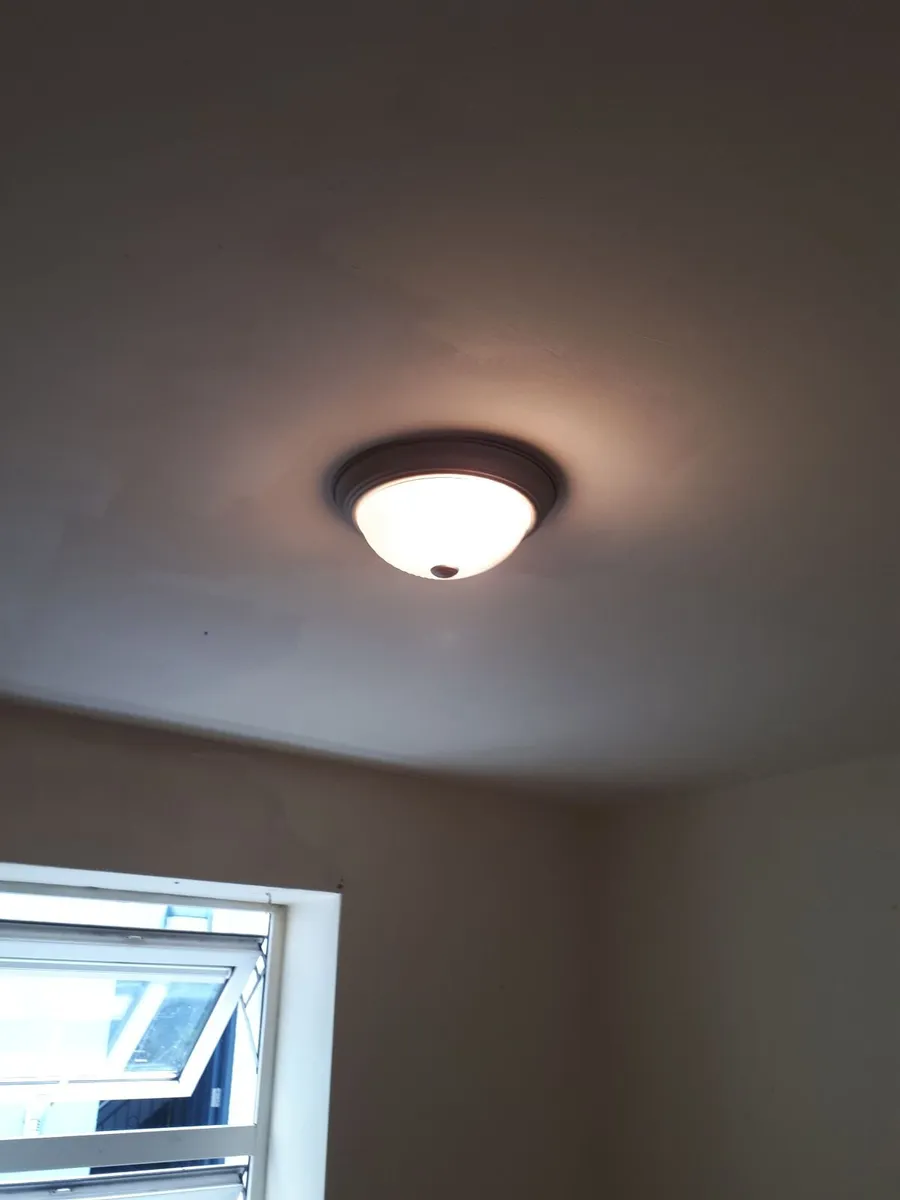 Lights - Image 2