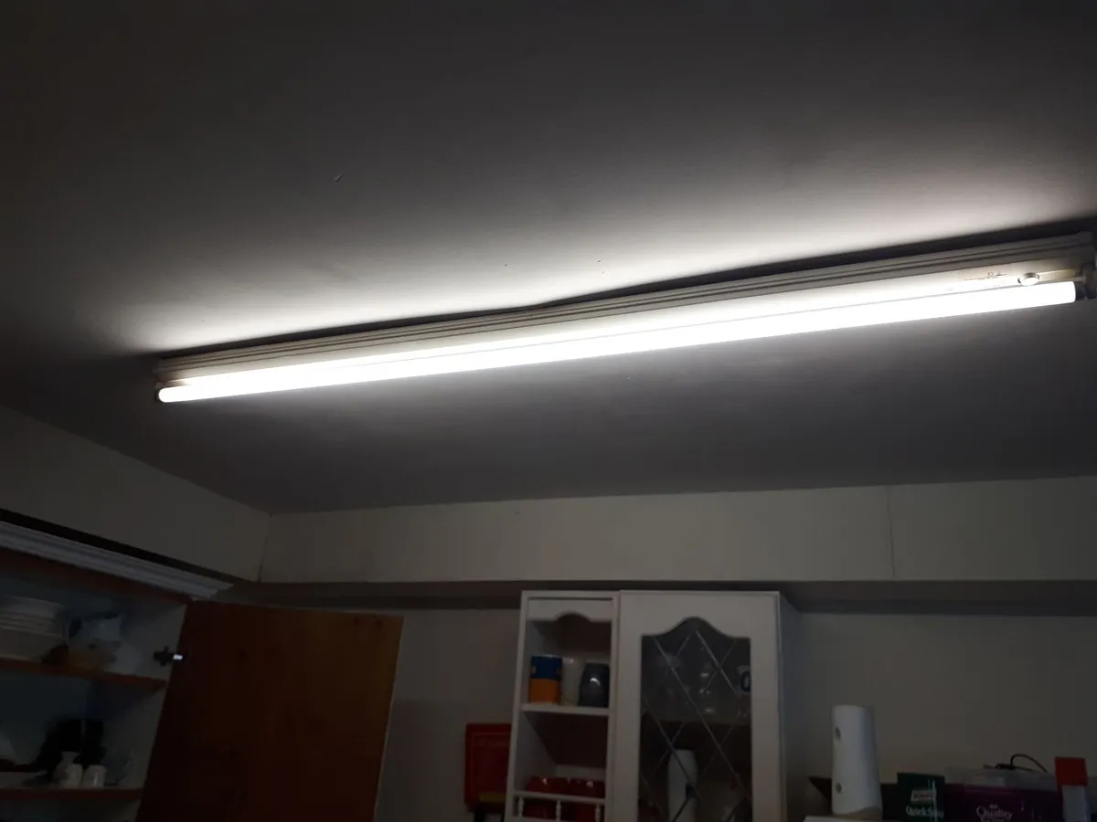 Lights - Image 3