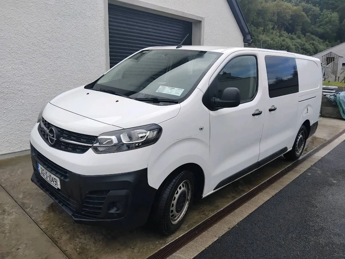 Vivaro crew cab van - Image 1
