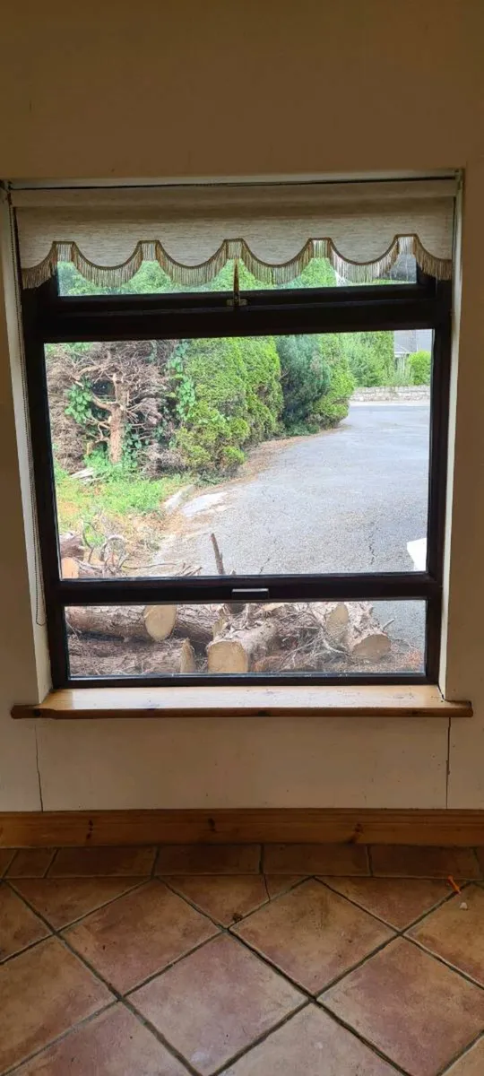 Windows & Doors - Image 2