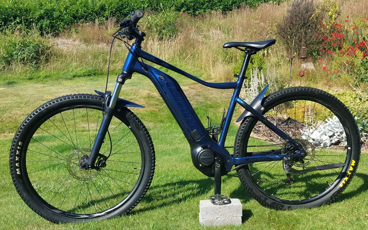 Giant Fathom E+3 electric mountain bike EMTB - Image 2