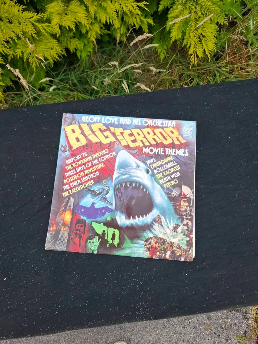 Big terror vinyl lp - Image 1