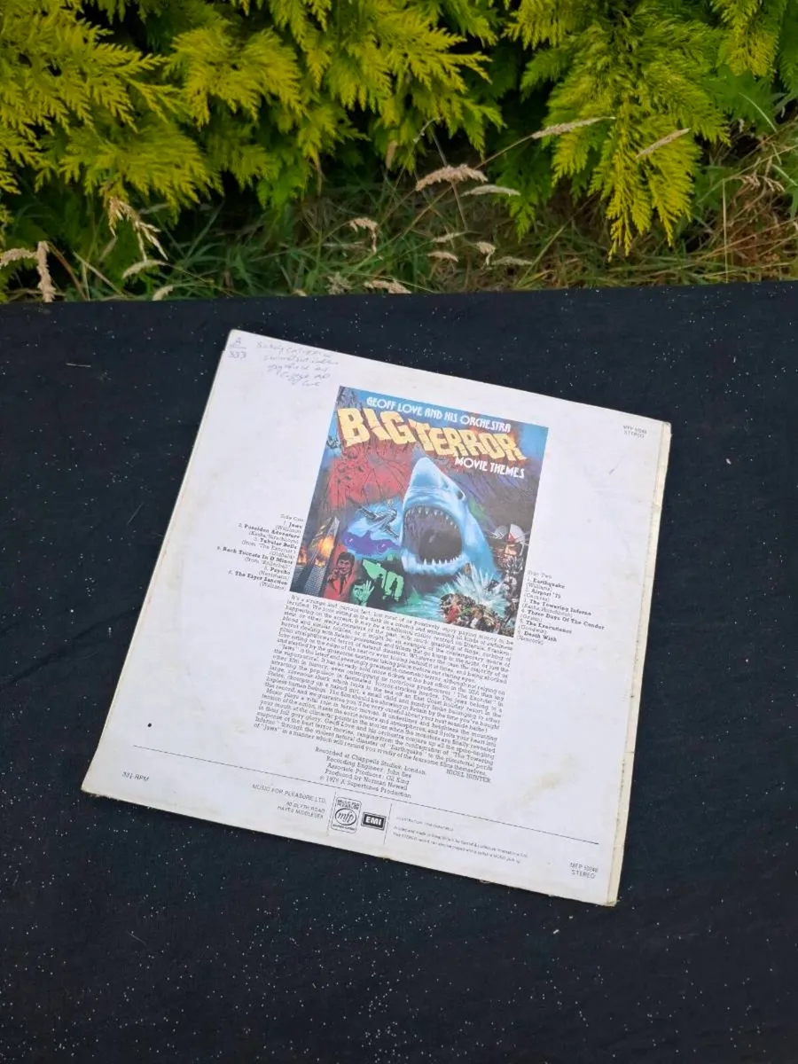 Big terror vinyl lp - Image 2