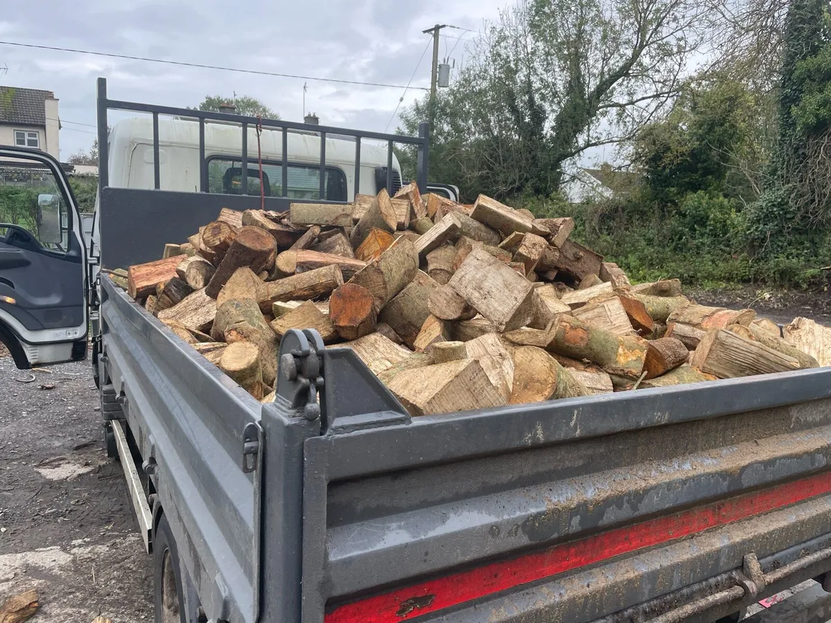 Firewood - Image 1