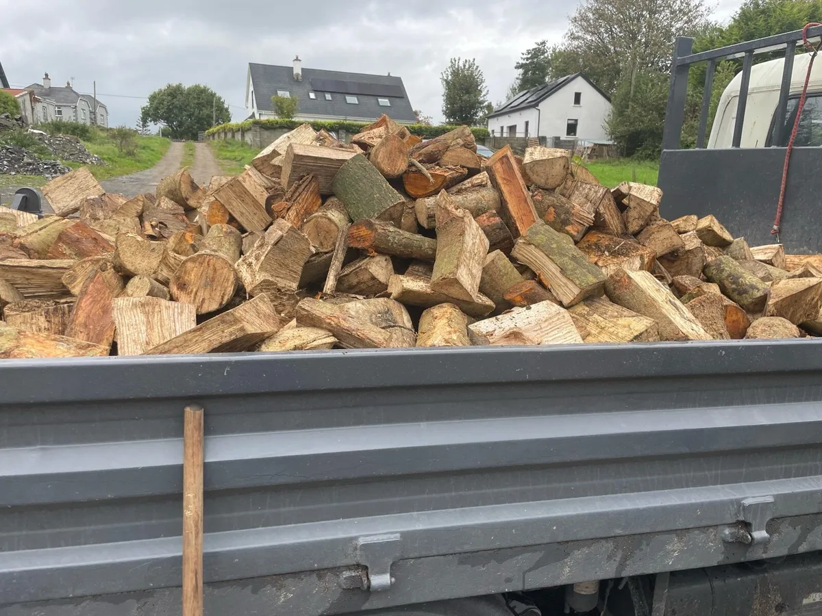 Firewood - Image 4