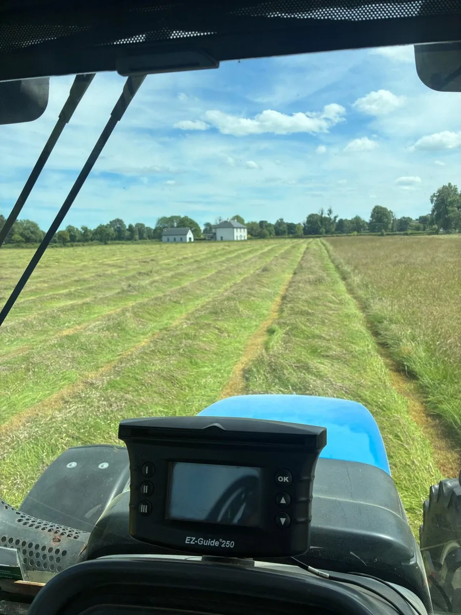 Horse hay - Image 2