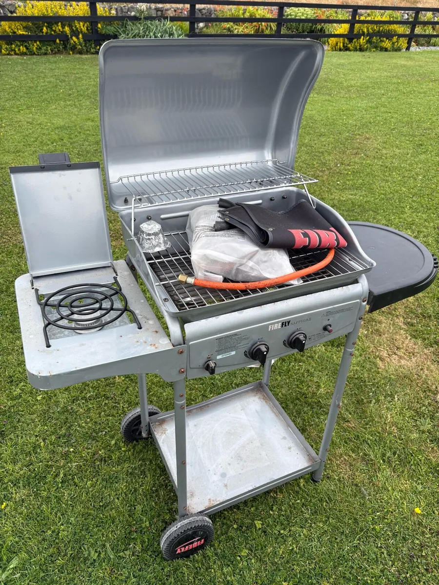 Firefly Barbecue - Image 4
