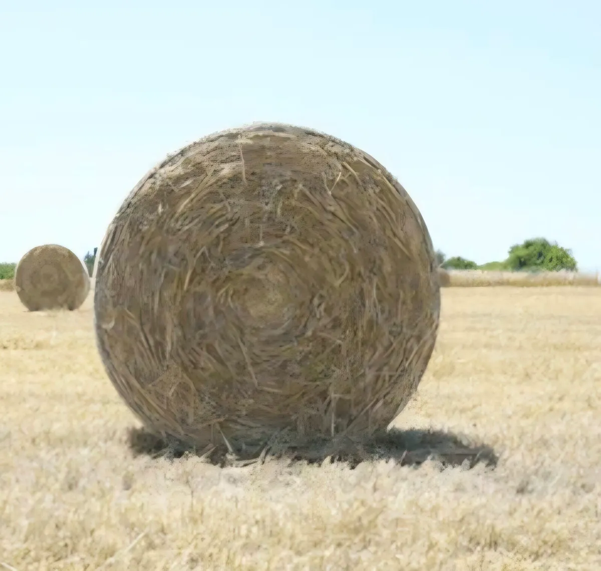 Hay for sale