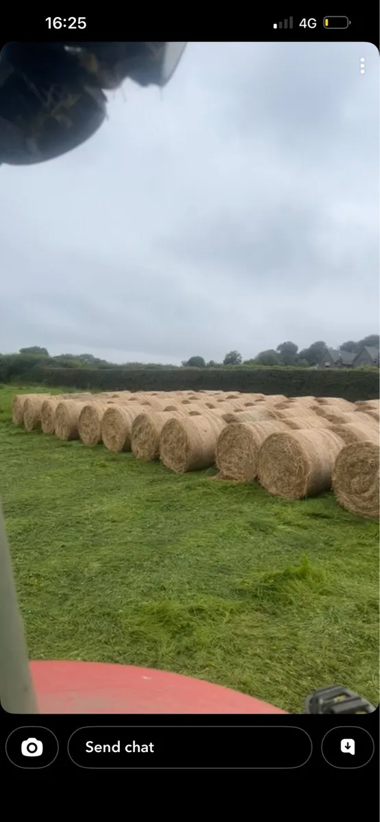 Course hay