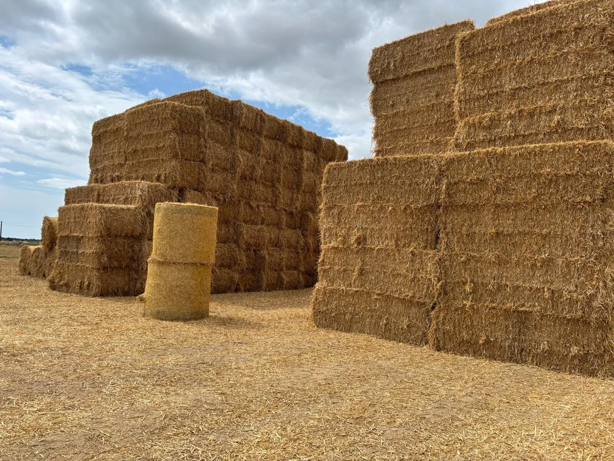 Straw - Image 2
