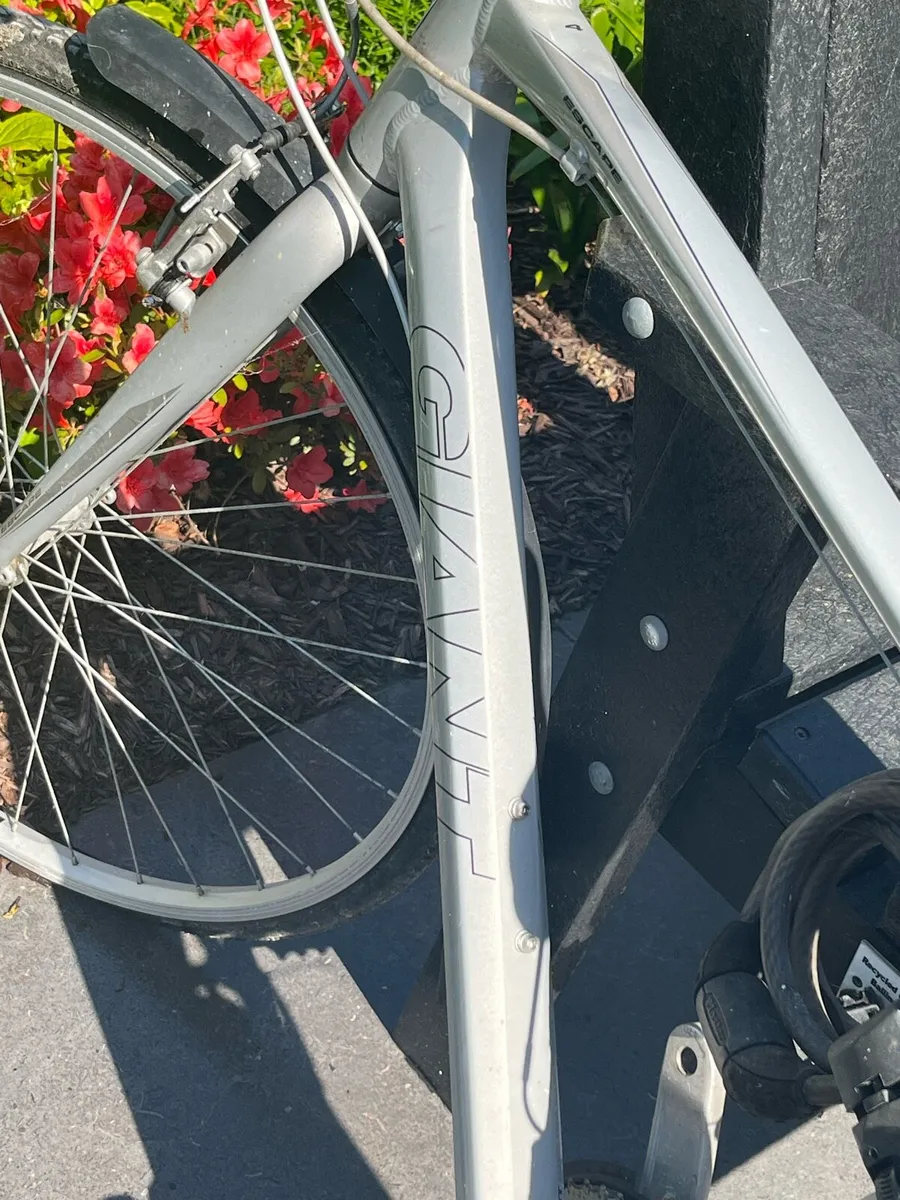 Bikes - Image 4