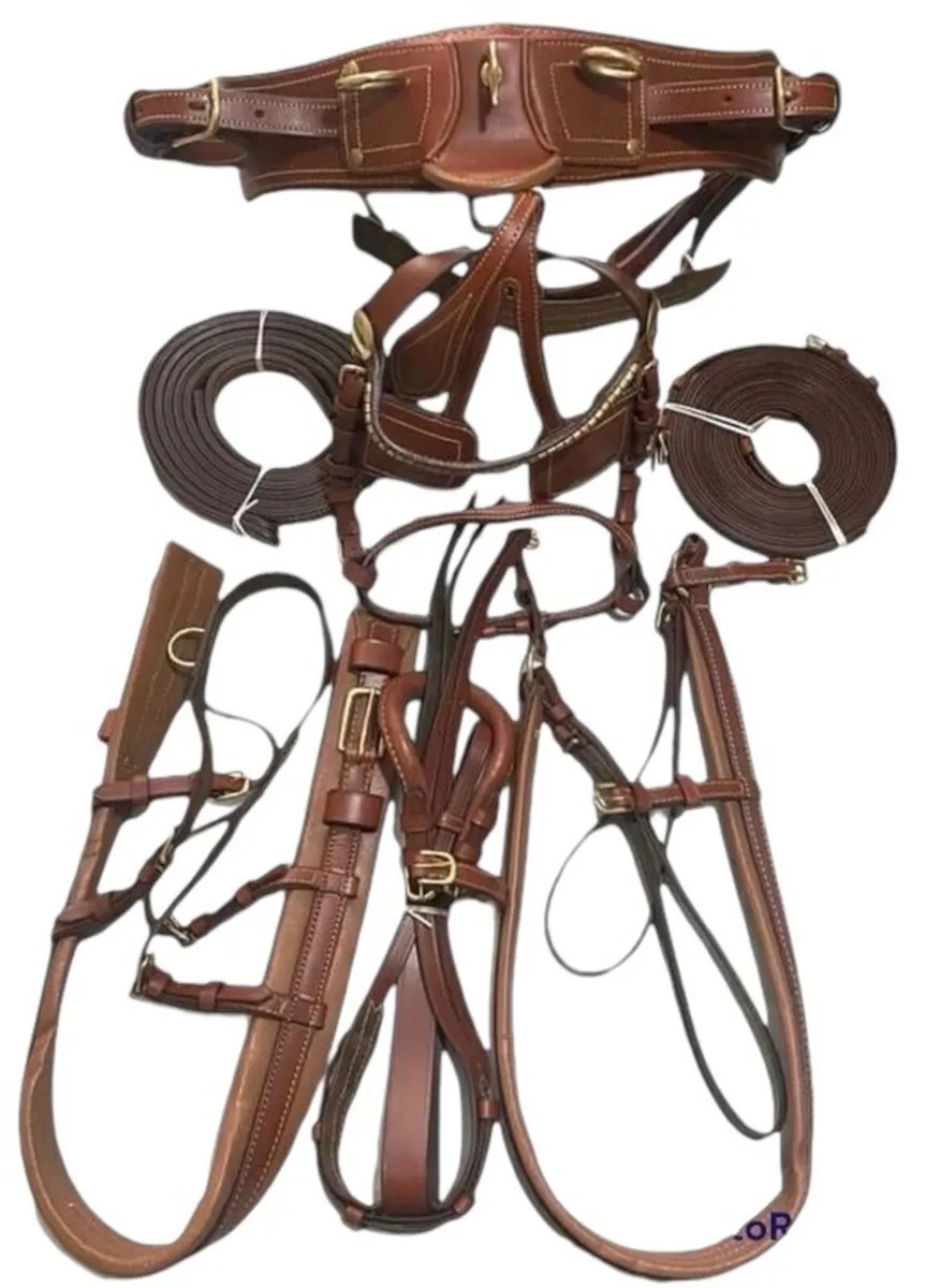 Leather horse harness - Image 2