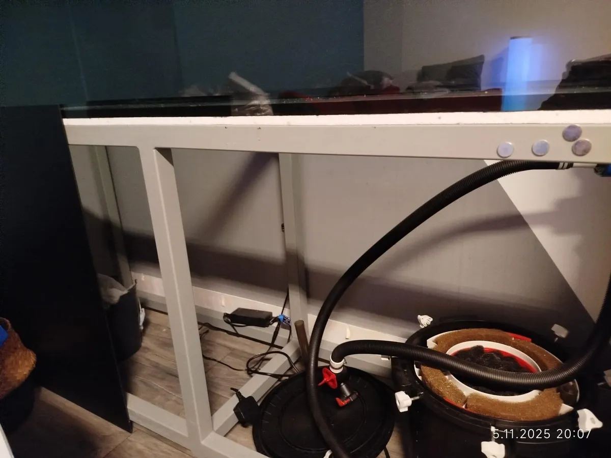 Fish tank - Image 3