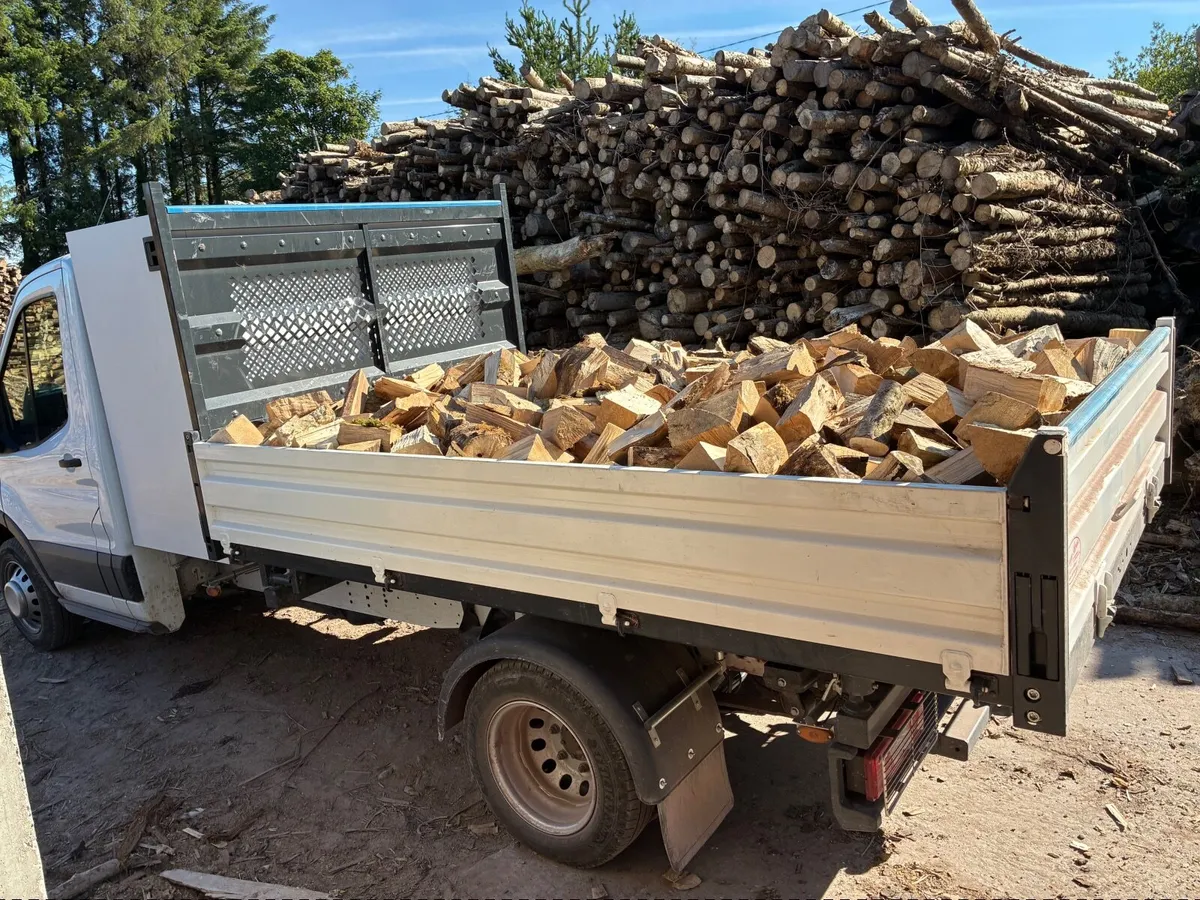Firewood - Image 4
