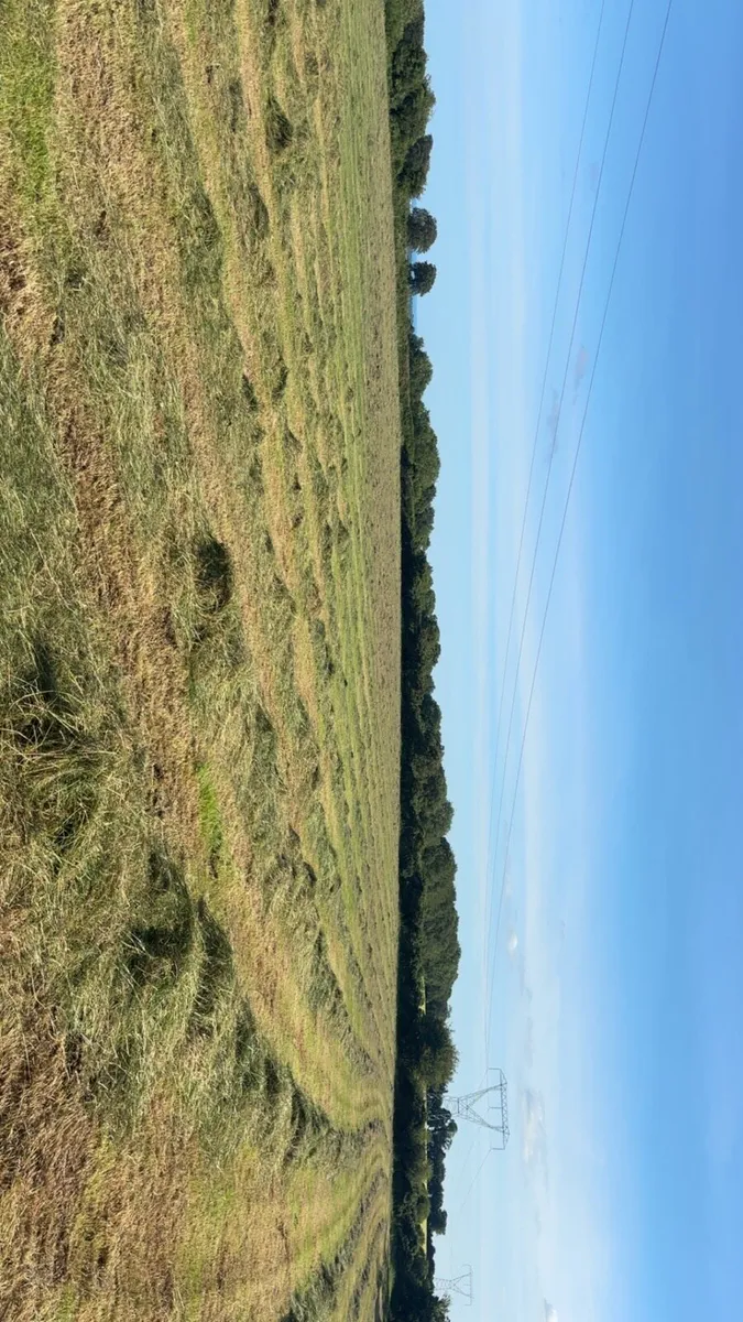 Hay For Sale - Image 2