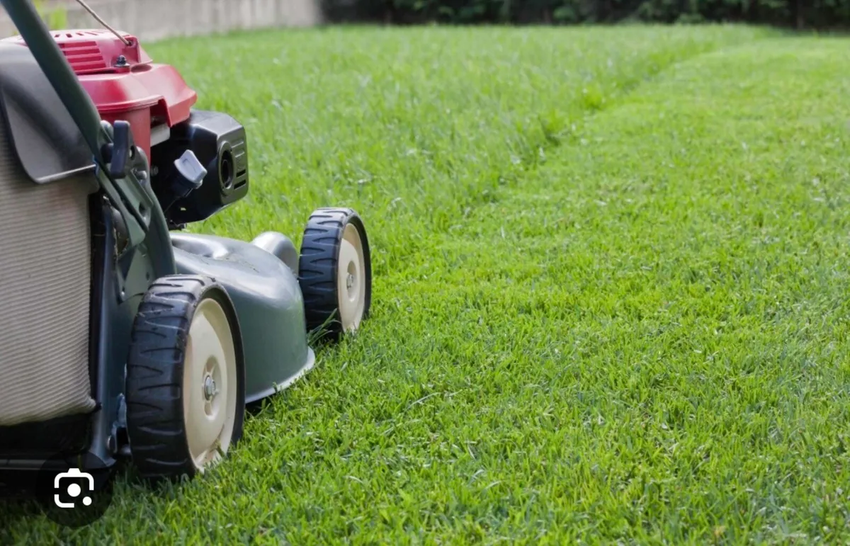 Gardening Service