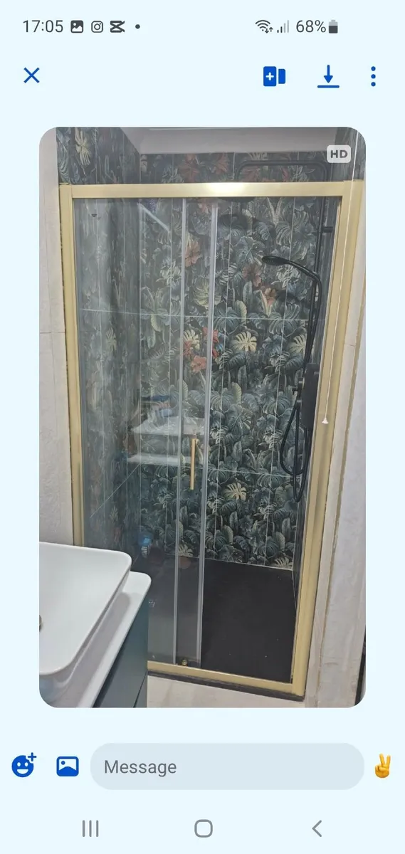 Shower door - Image 1