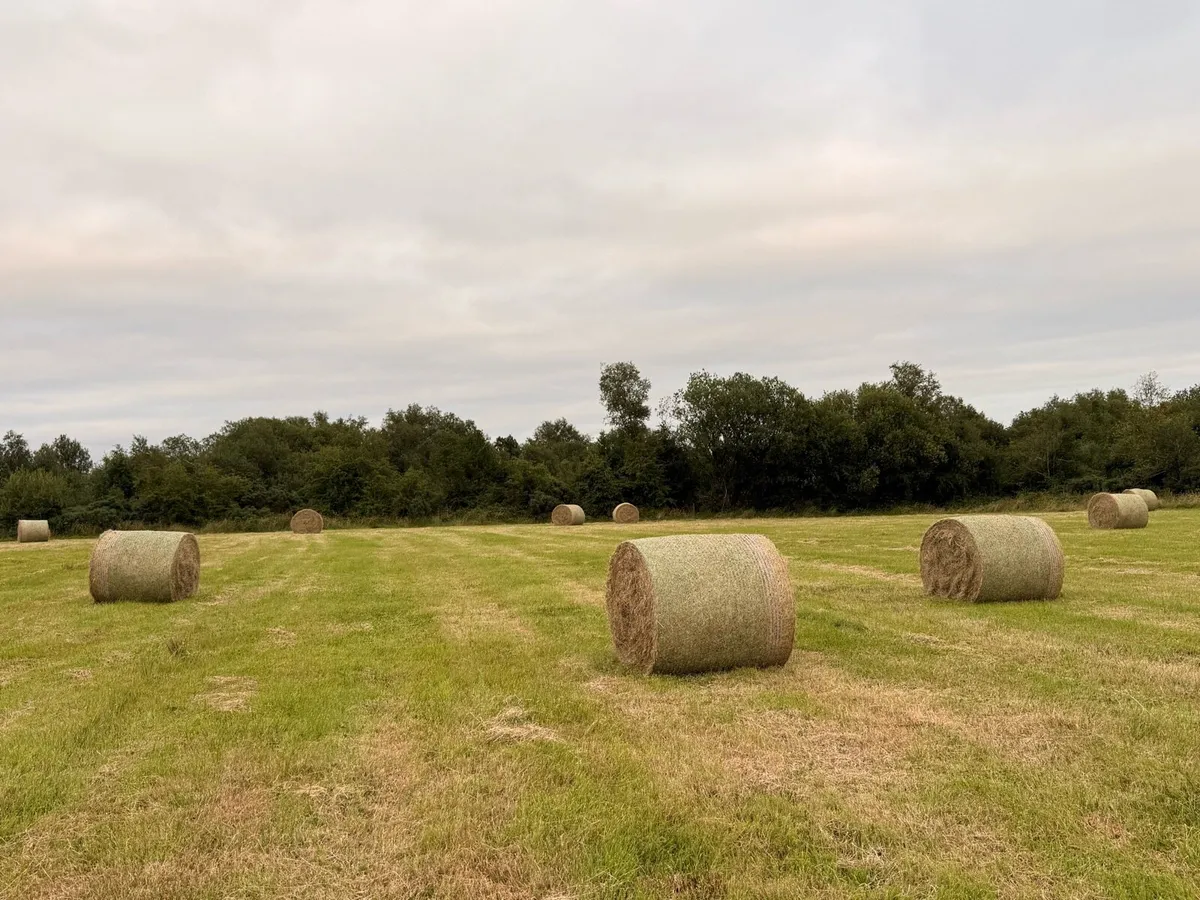 Round Bales Of Hay - Image 2
