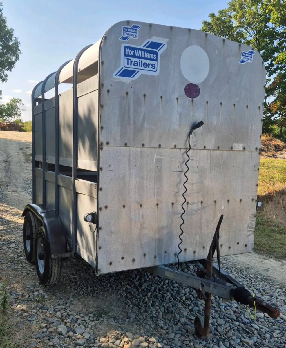 Ifor williams 8 x 5 cattle trailer - Image 1