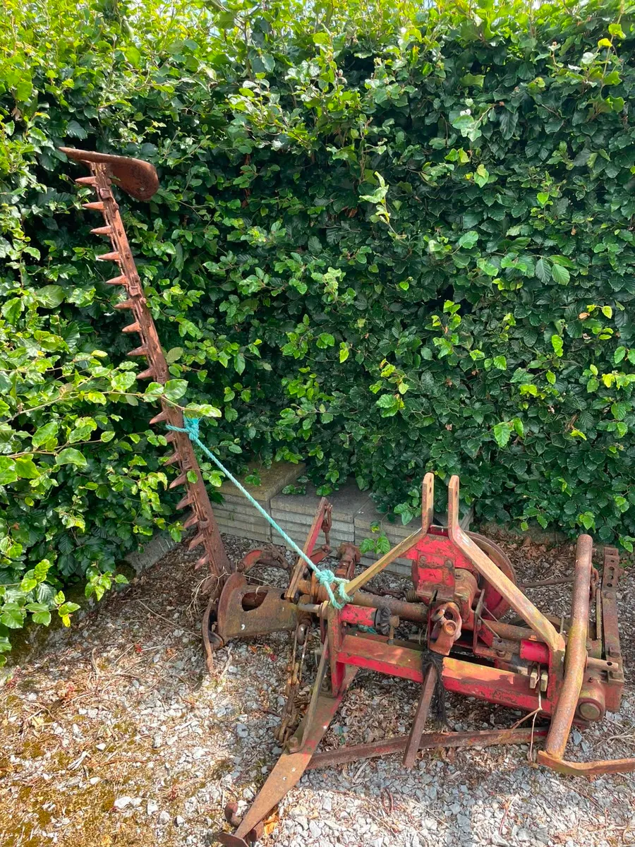International mowing bars - Image 4