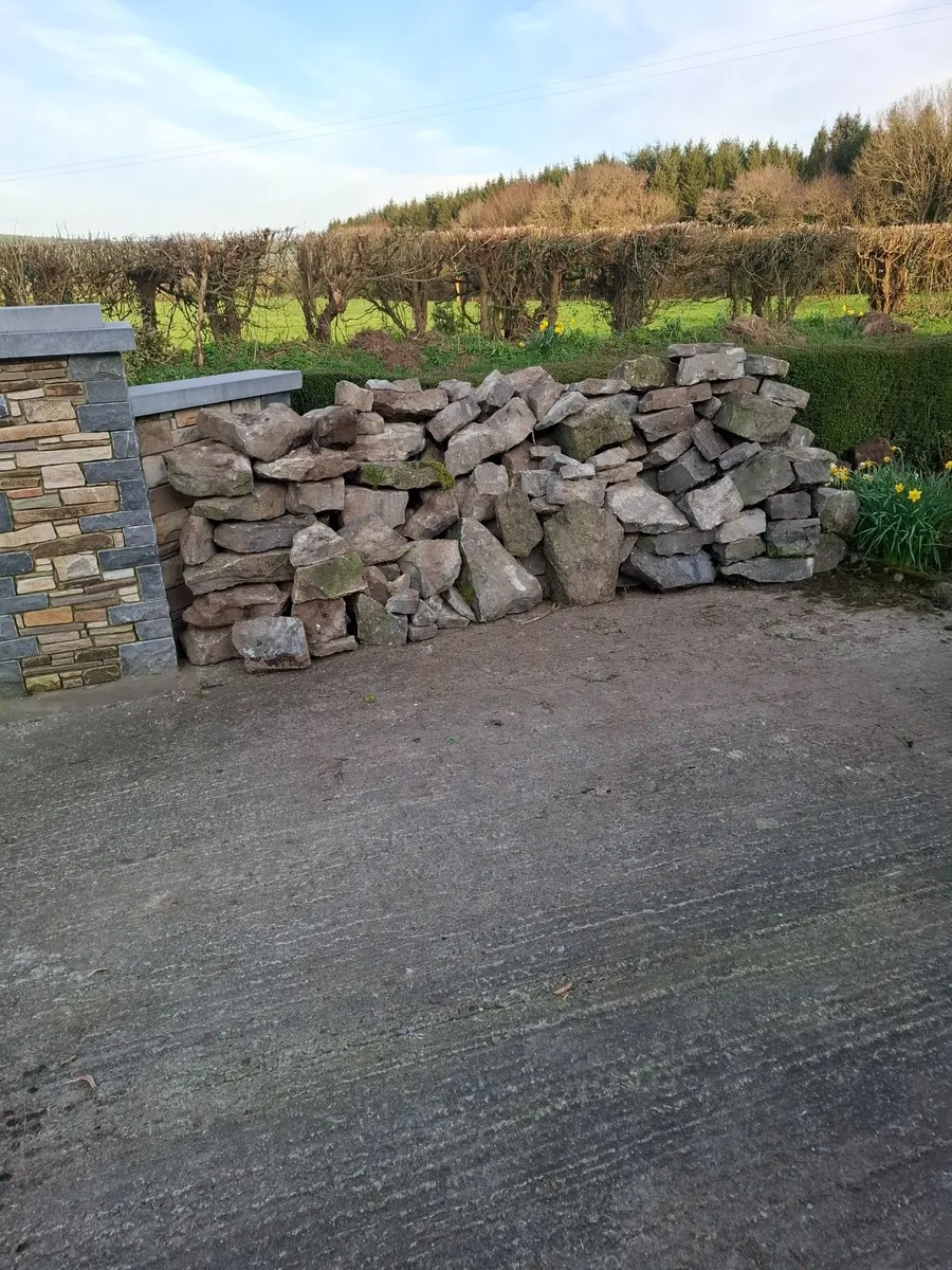 Limestone - Image 1