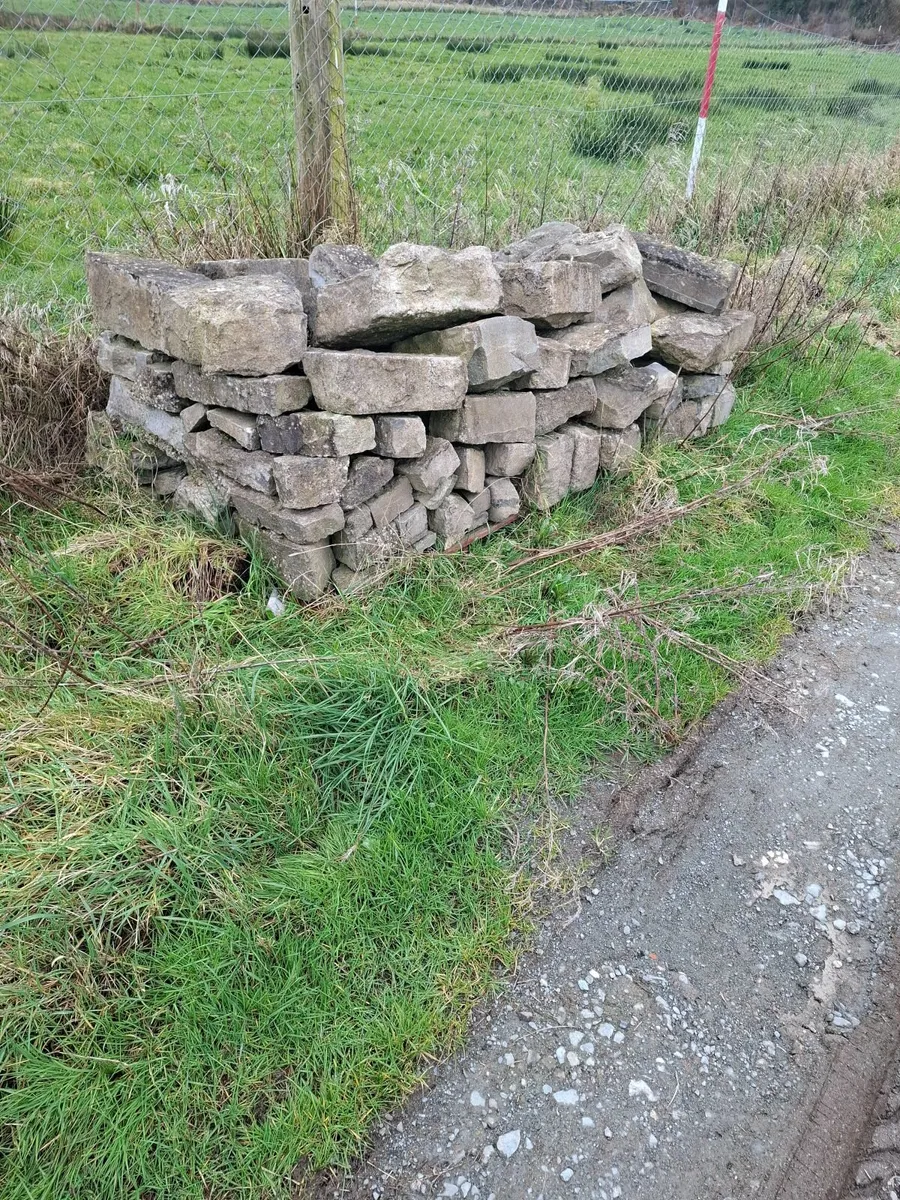 Limestone - Image 2