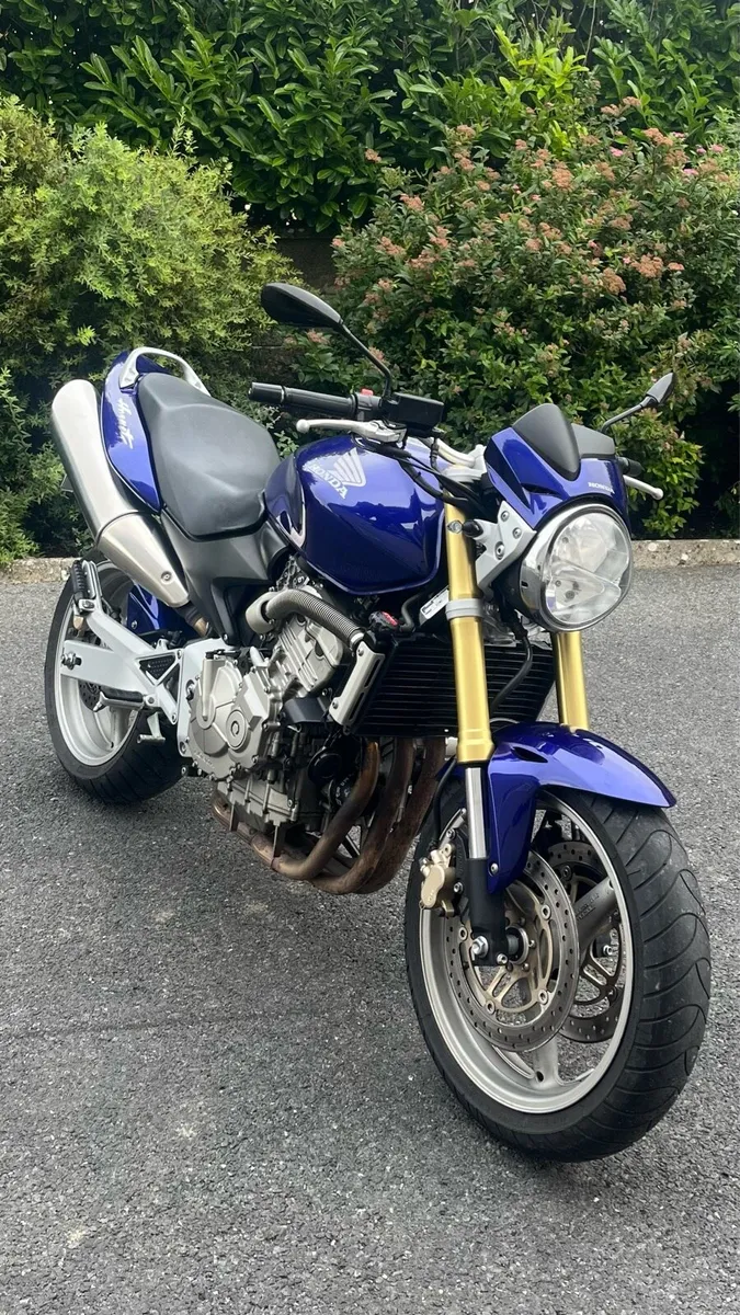 Honda Hornet cb600f (German import) - Image 1