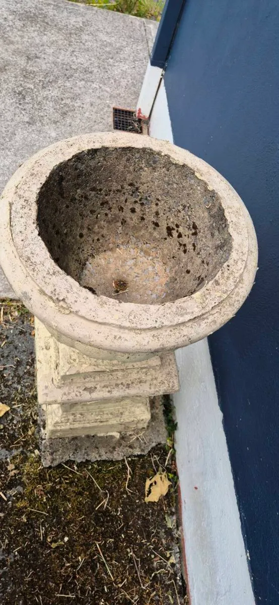 Grecian Urns Concrete 3ft high - Image 3